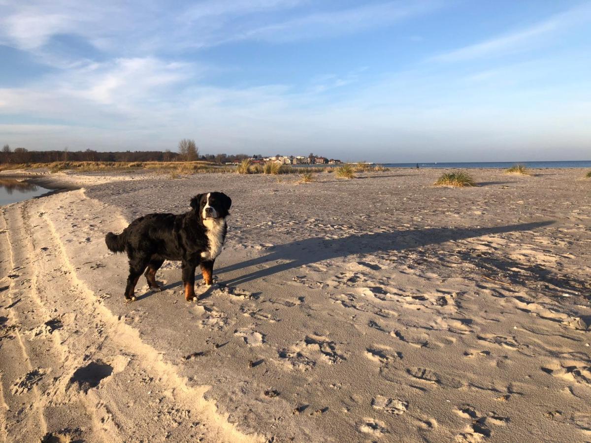 Ferienwohnung „Die Koje“ Hohwacht/Ostsee Ngoại thất bức ảnh